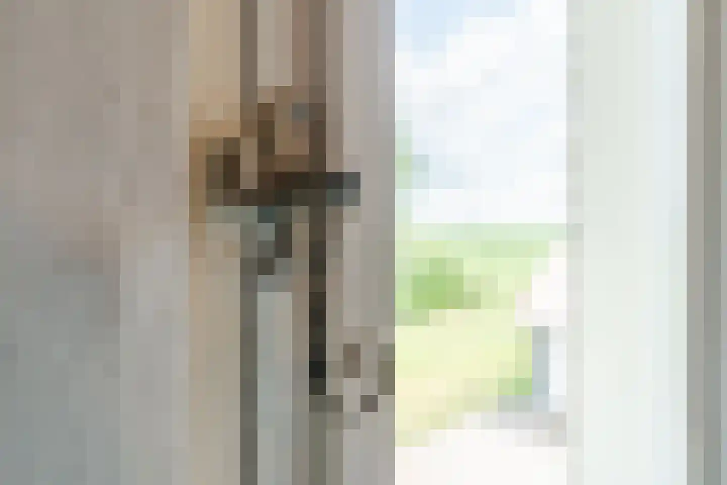 de Wangen 4 Wapenveld thumbnail 26