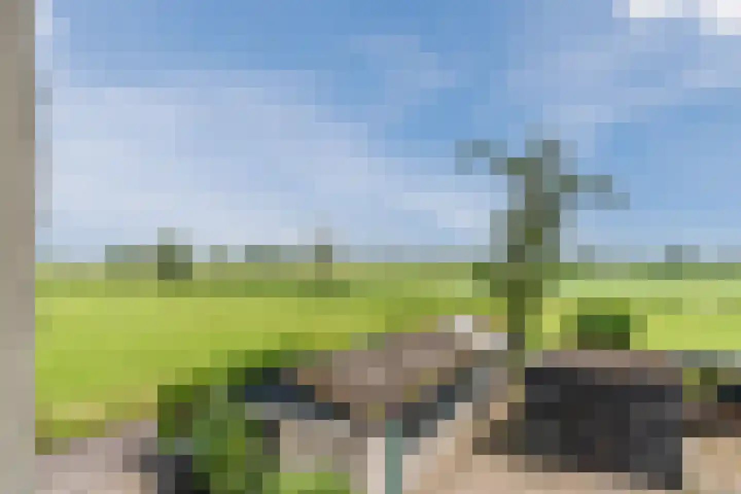 de Wangen 4 Wapenveld thumbnail 28