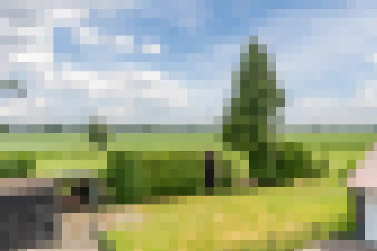 de Wangen 4 Wapenveld thumbnail 29