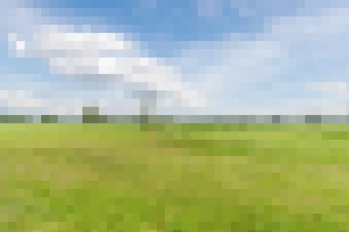 de Wangen 4 Wapenveld foto 3