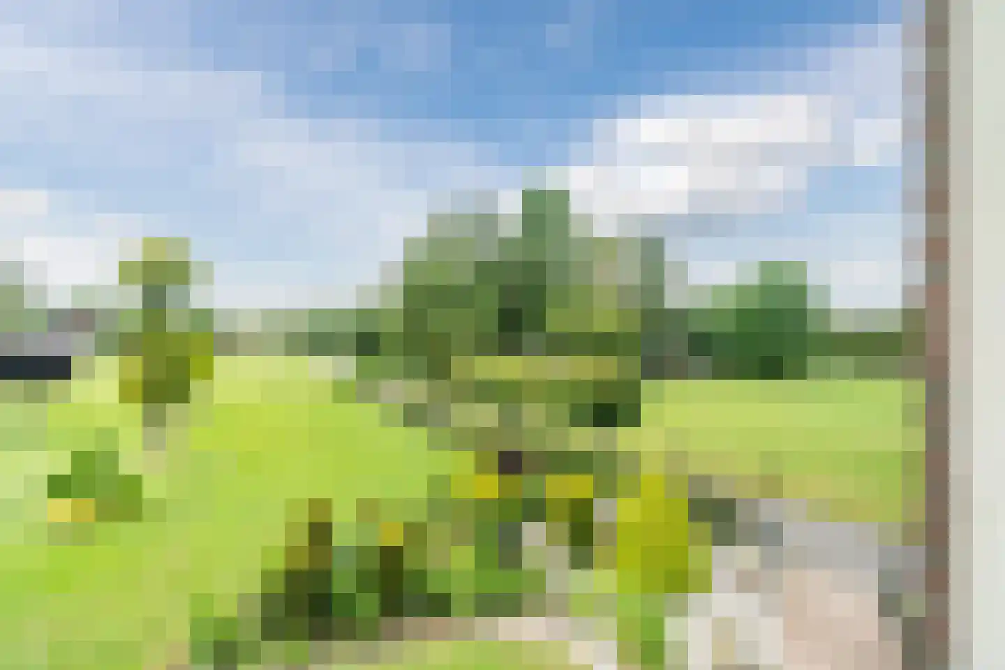 de Wangen 4 Wapenveld thumbnail 30