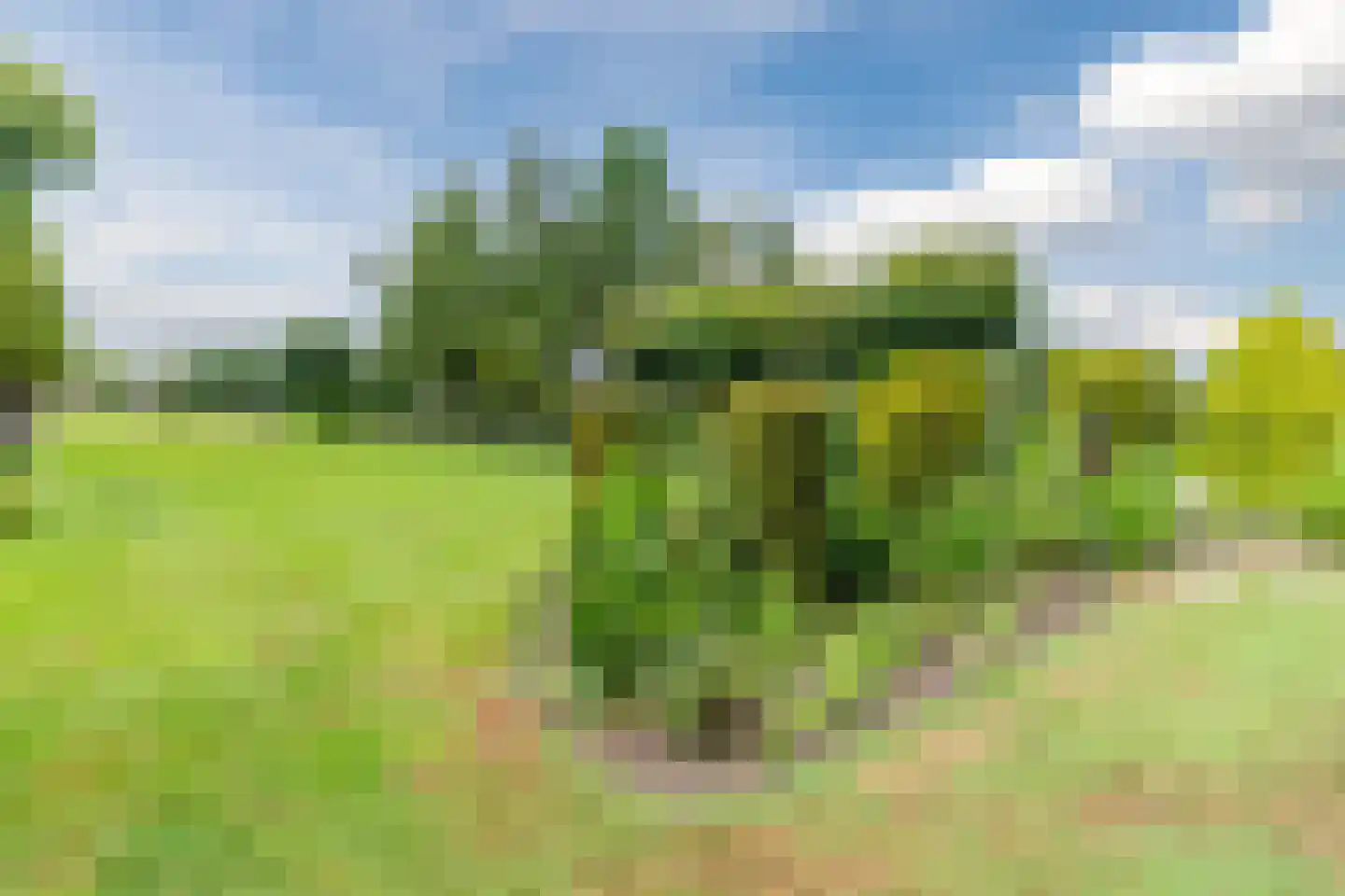 de Wangen 4 Wapenveld thumbnail 37