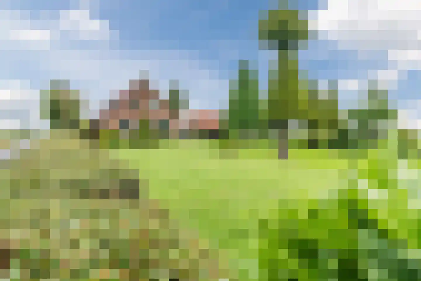 de Wangen 4 Wapenveld thumbnail 38