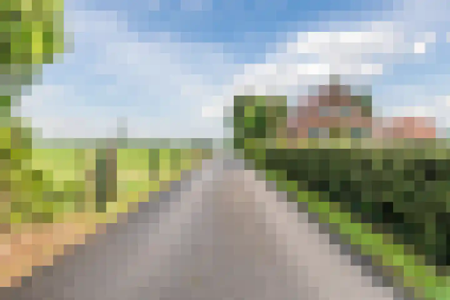 de Wangen 4 Wapenveld thumbnail 39