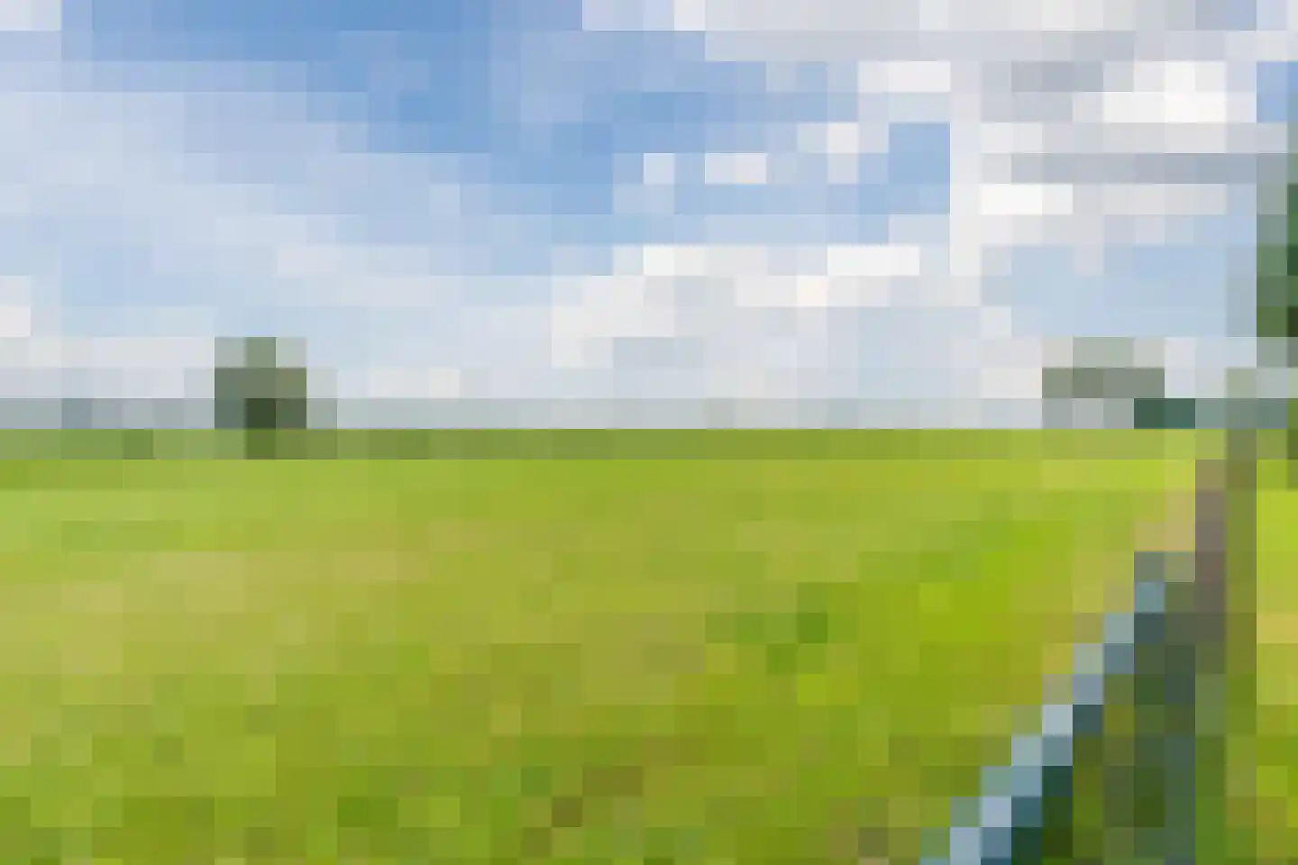 de Wangen 4 Wapenveld thumbnail 48