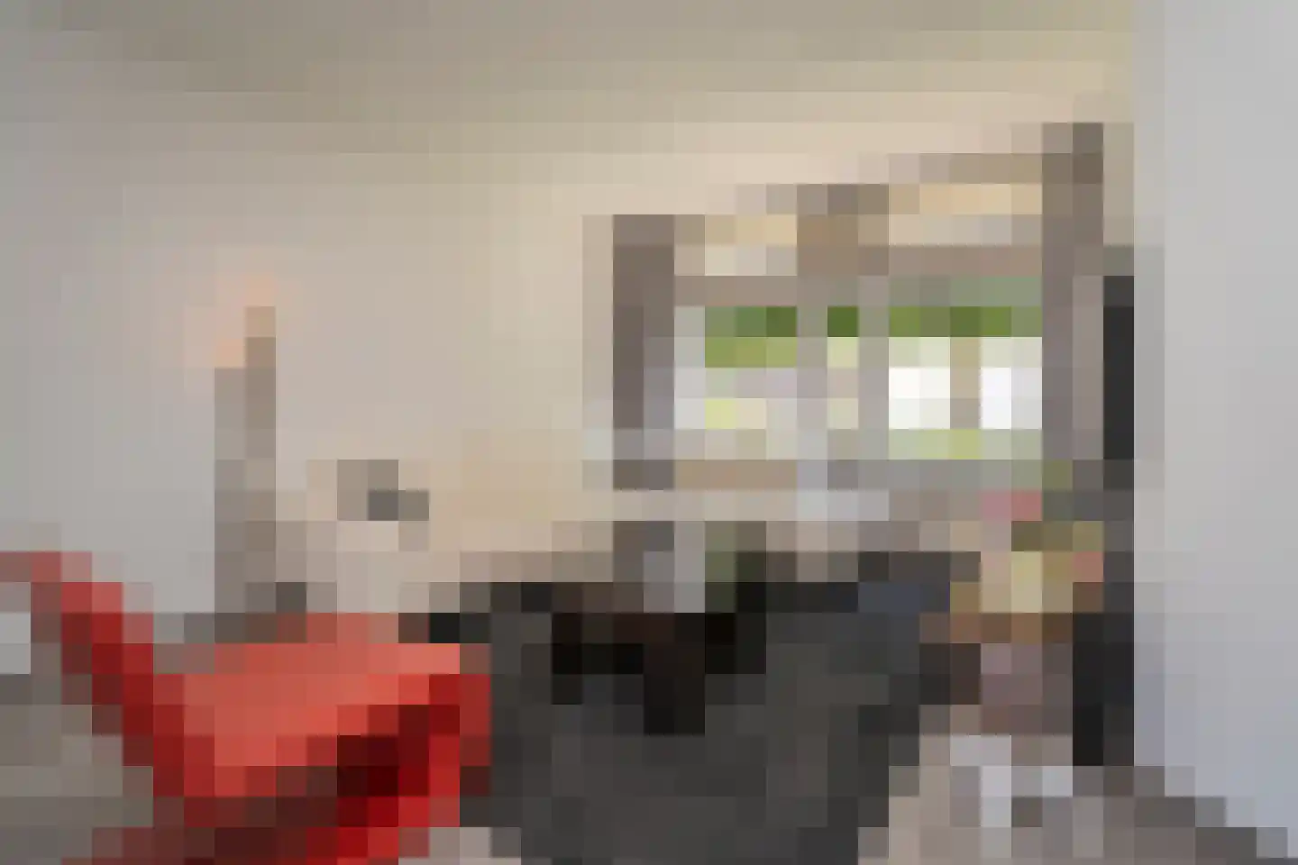 De Wanmolen 11 Berkel-Enschot thumbnail 11