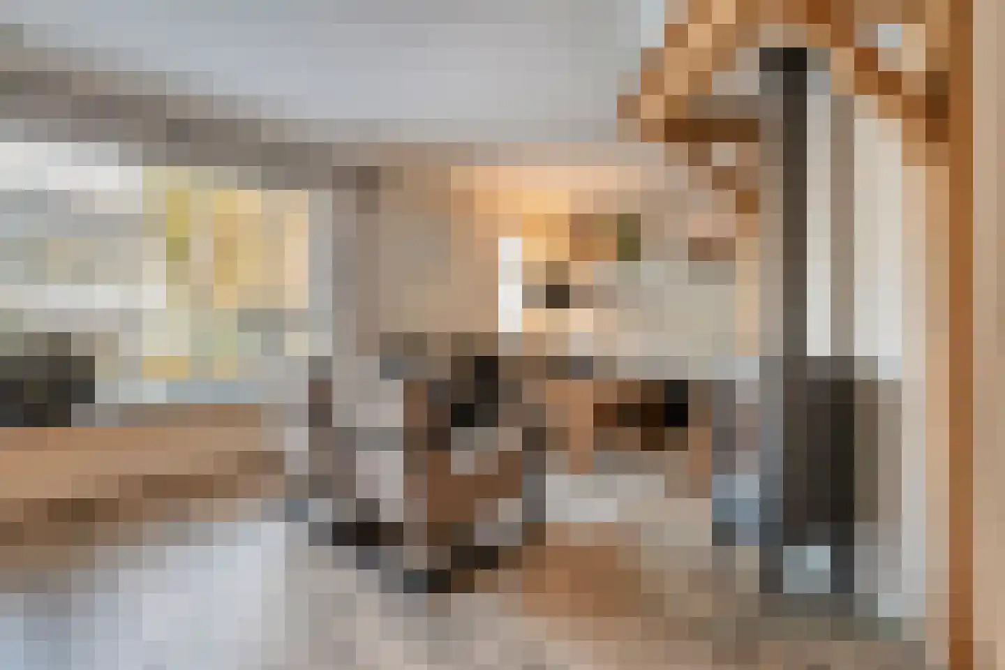 de Wanne 1 Rossum thumbnail 10