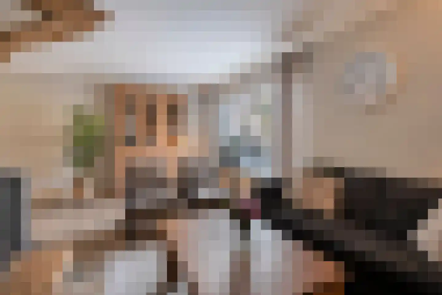 de Wanne 1 Rossum thumbnail 11