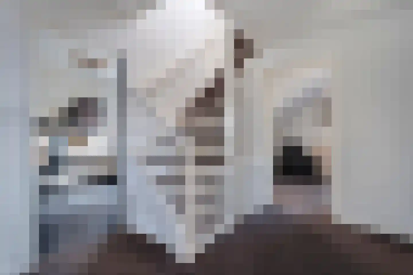 de Wanne 1 Rossum thumbnail 12