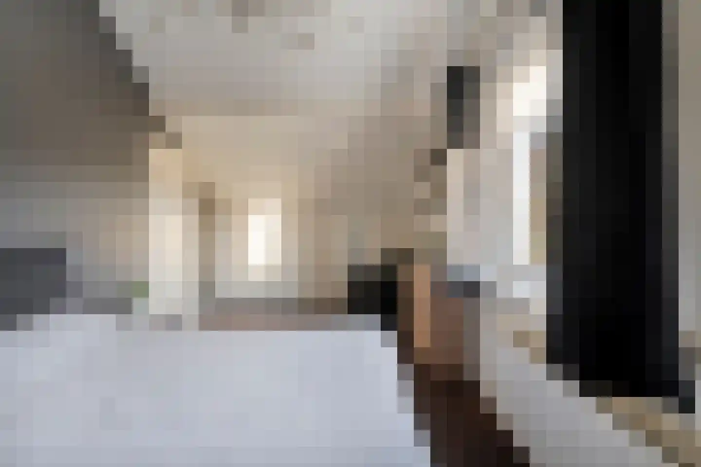 de Wanne 1 Rossum thumbnail 14