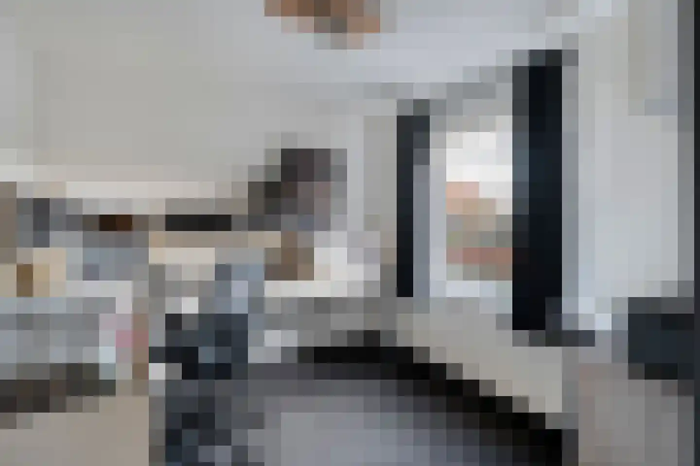 de Wanne 1 Rossum thumbnail 17