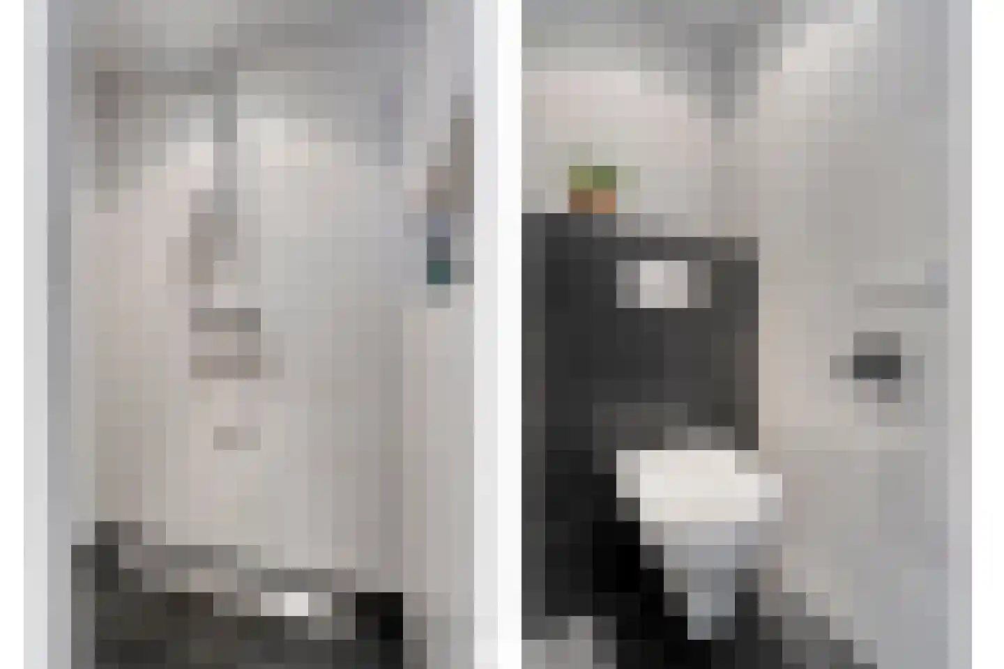 de Wanne 1 Rossum thumbnail 19