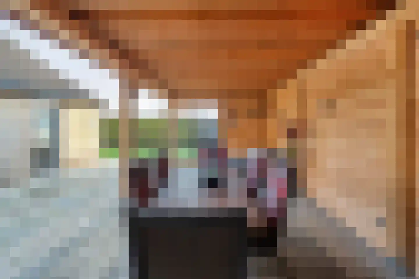 de Wanne 1 Rossum thumbnail 24