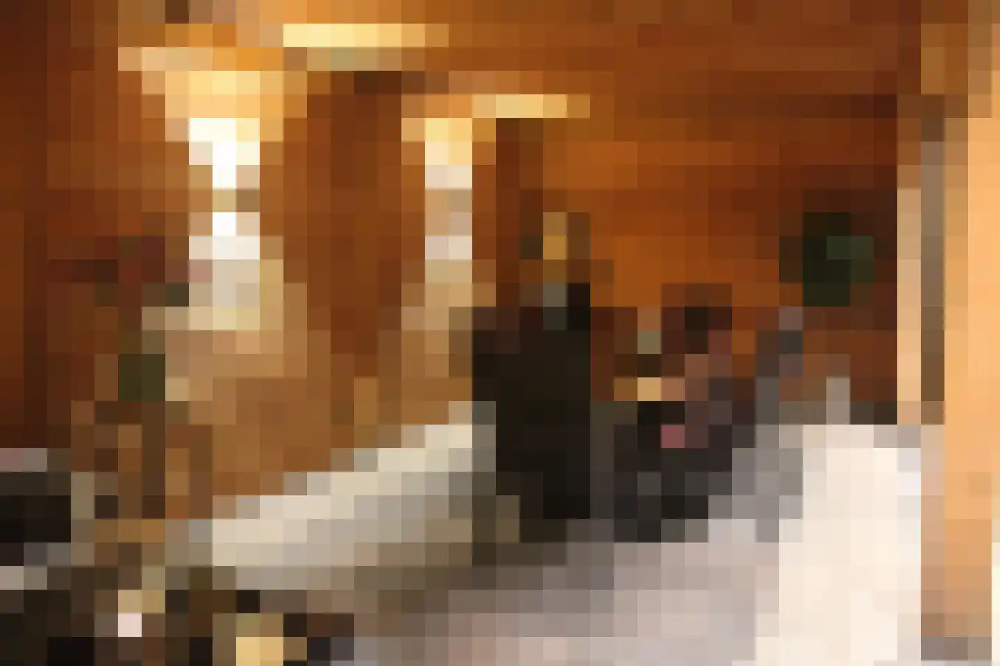 de Wanne 1 Rossum thumbnail 25