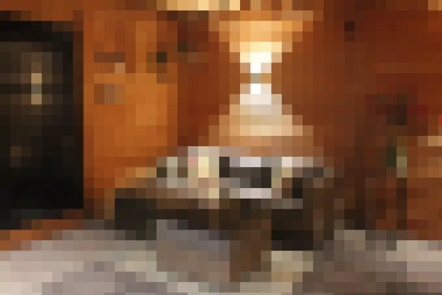 de Wanne 1 Rossum thumbnail 26