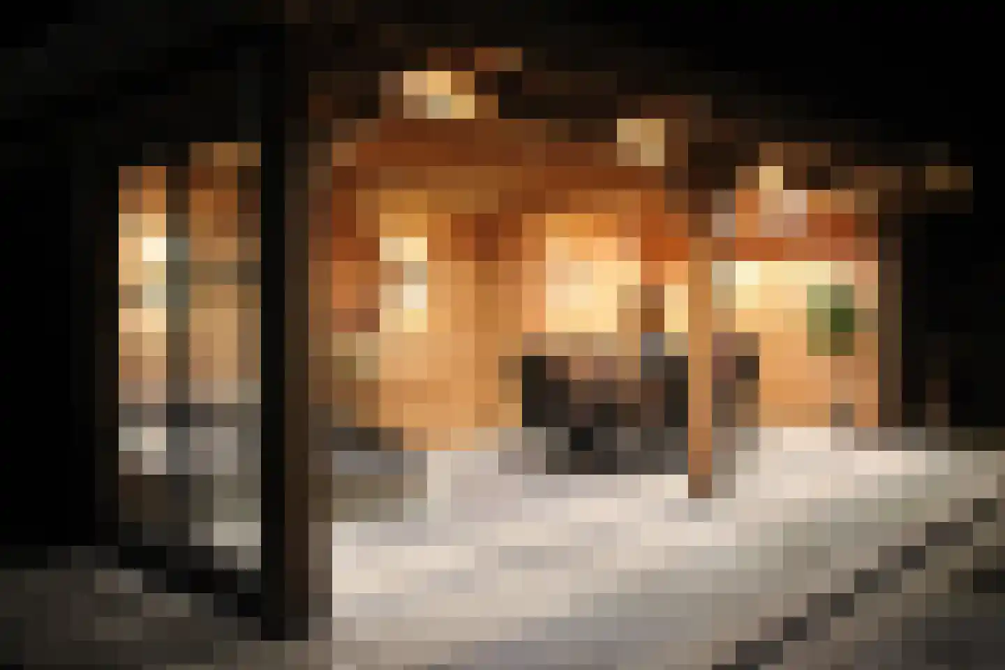 de Wanne 1 Rossum thumbnail 27