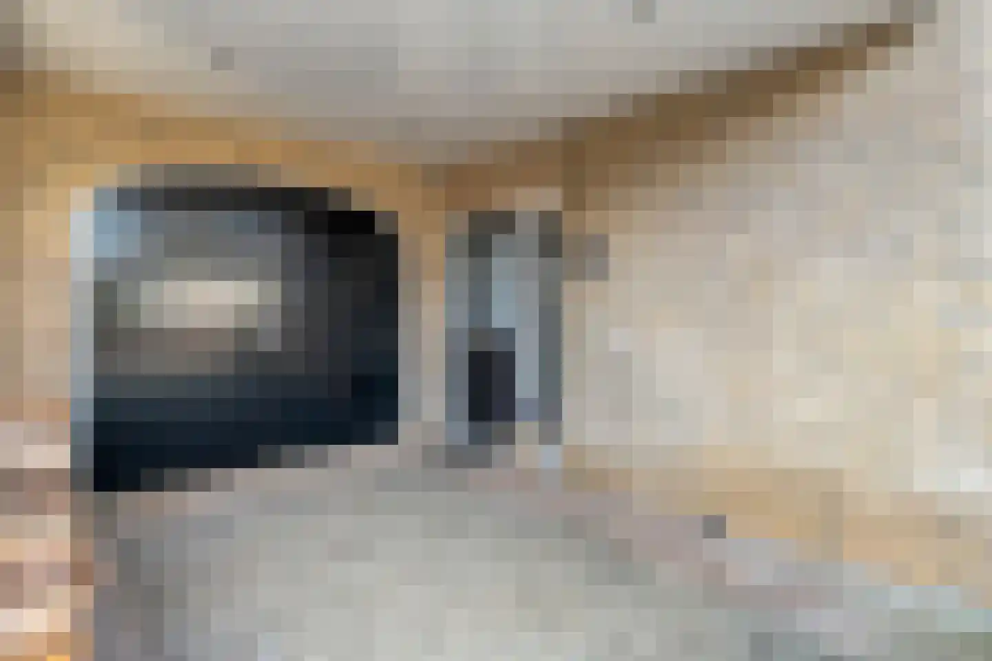 de Wanne 1 Rossum thumbnail 4