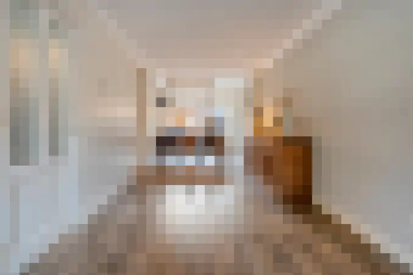 de Wanne 1 Rossum thumbnail 6