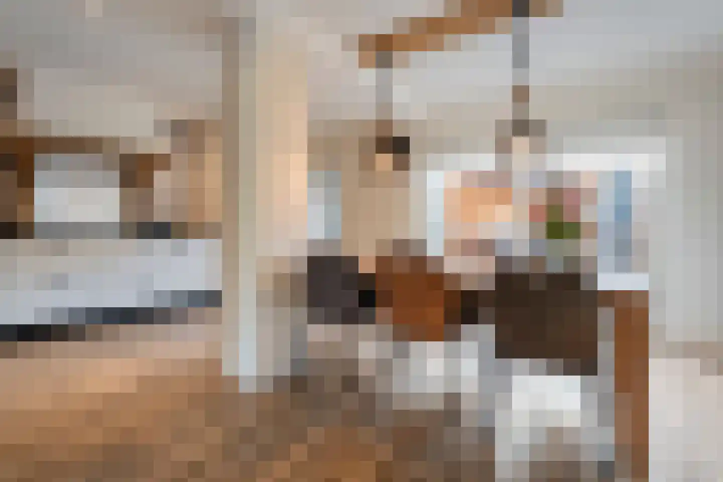 de Wanne 1 Rossum thumbnail 7