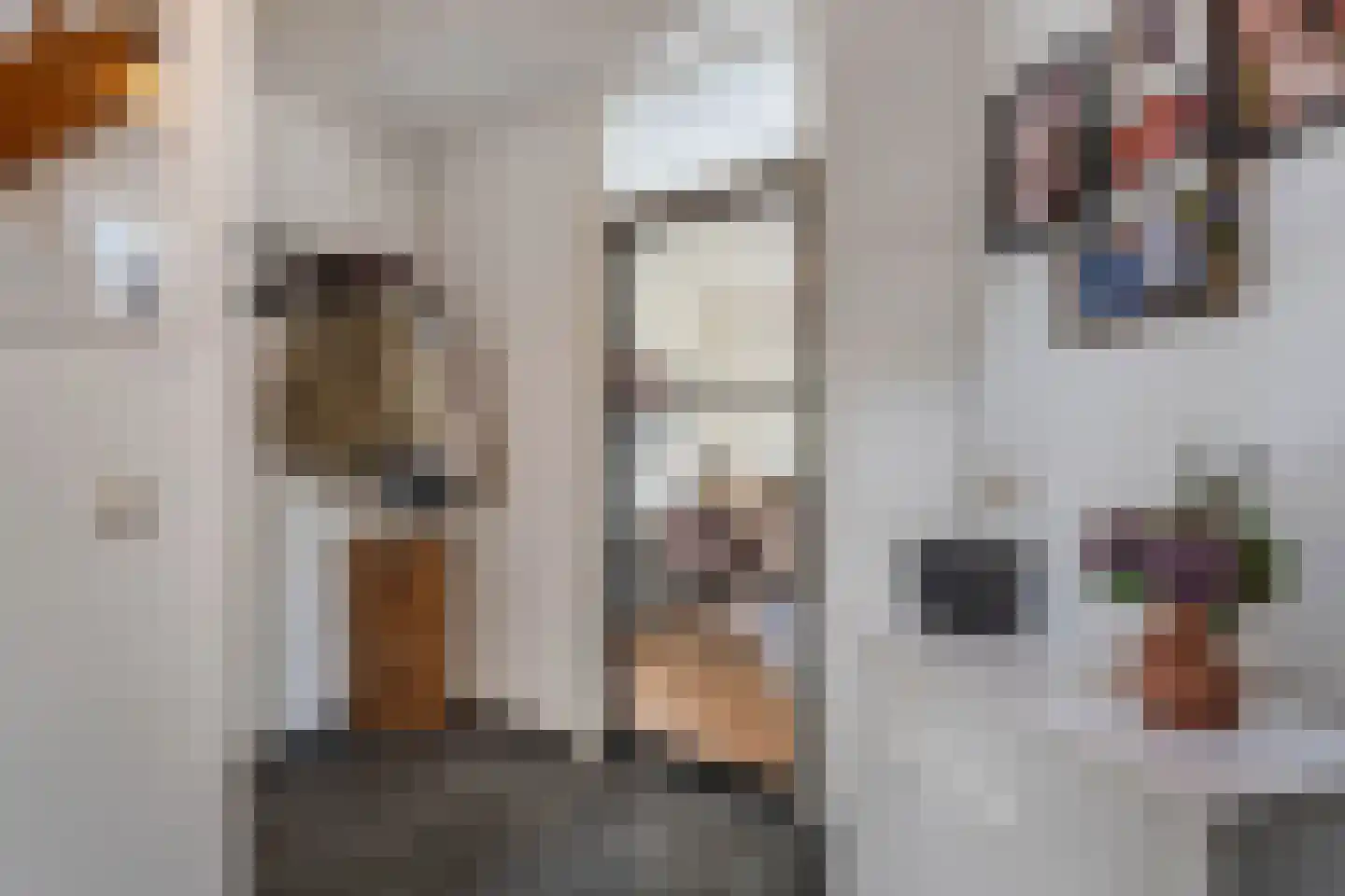 De wanne 17 Steenwijk thumbnail 10