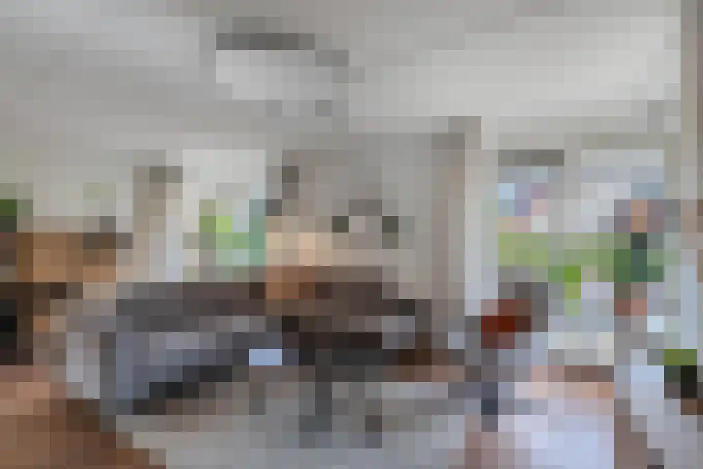 De wanne 17 Steenwijk thumbnail 13