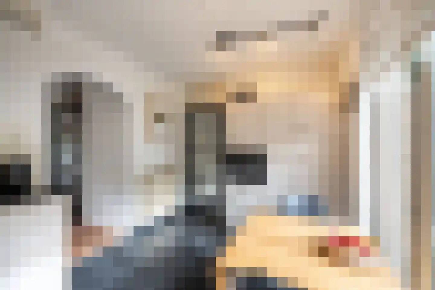 De wanne 17 Steenwijk thumbnail 20