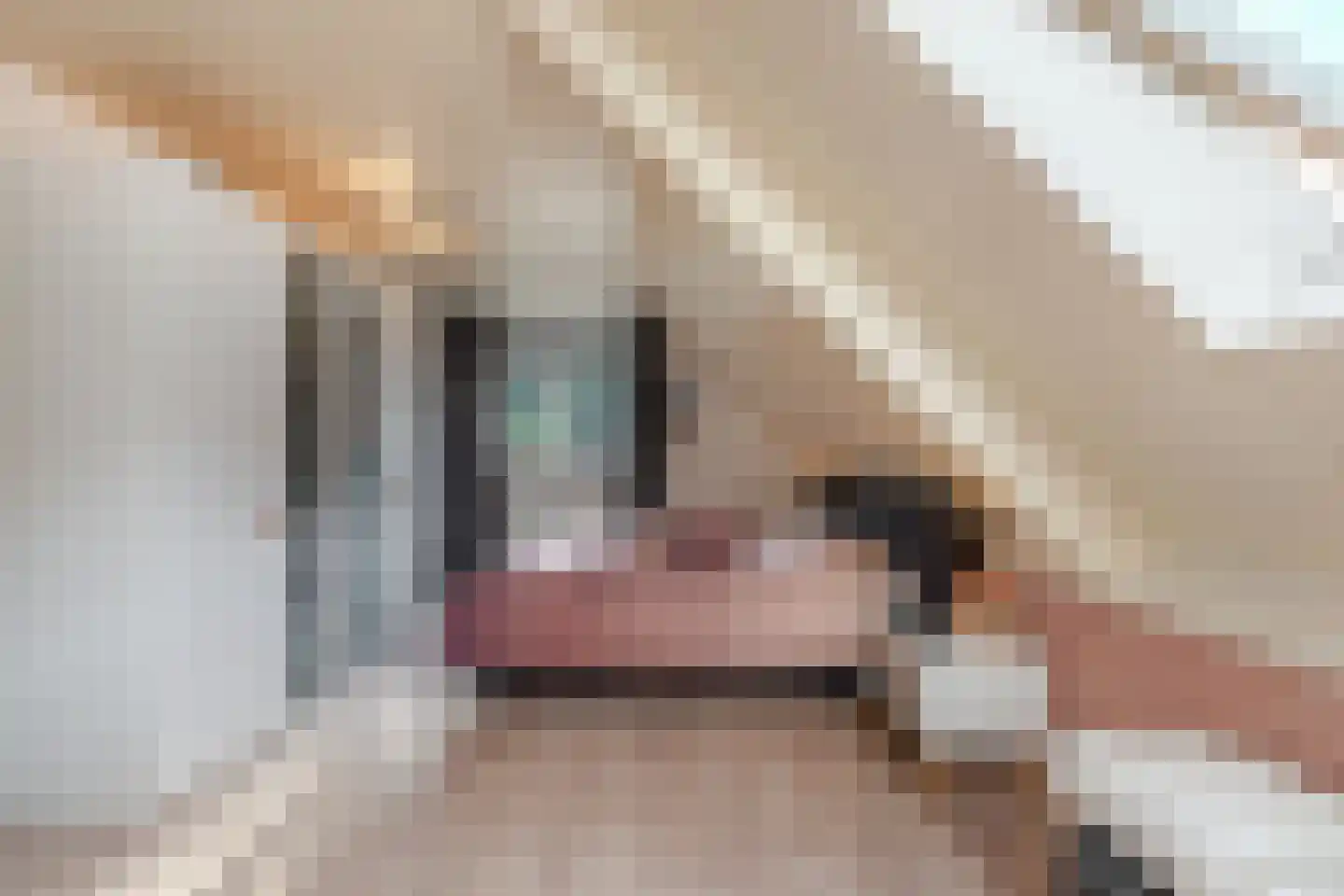 De wanne 17 Steenwijk thumbnail 26