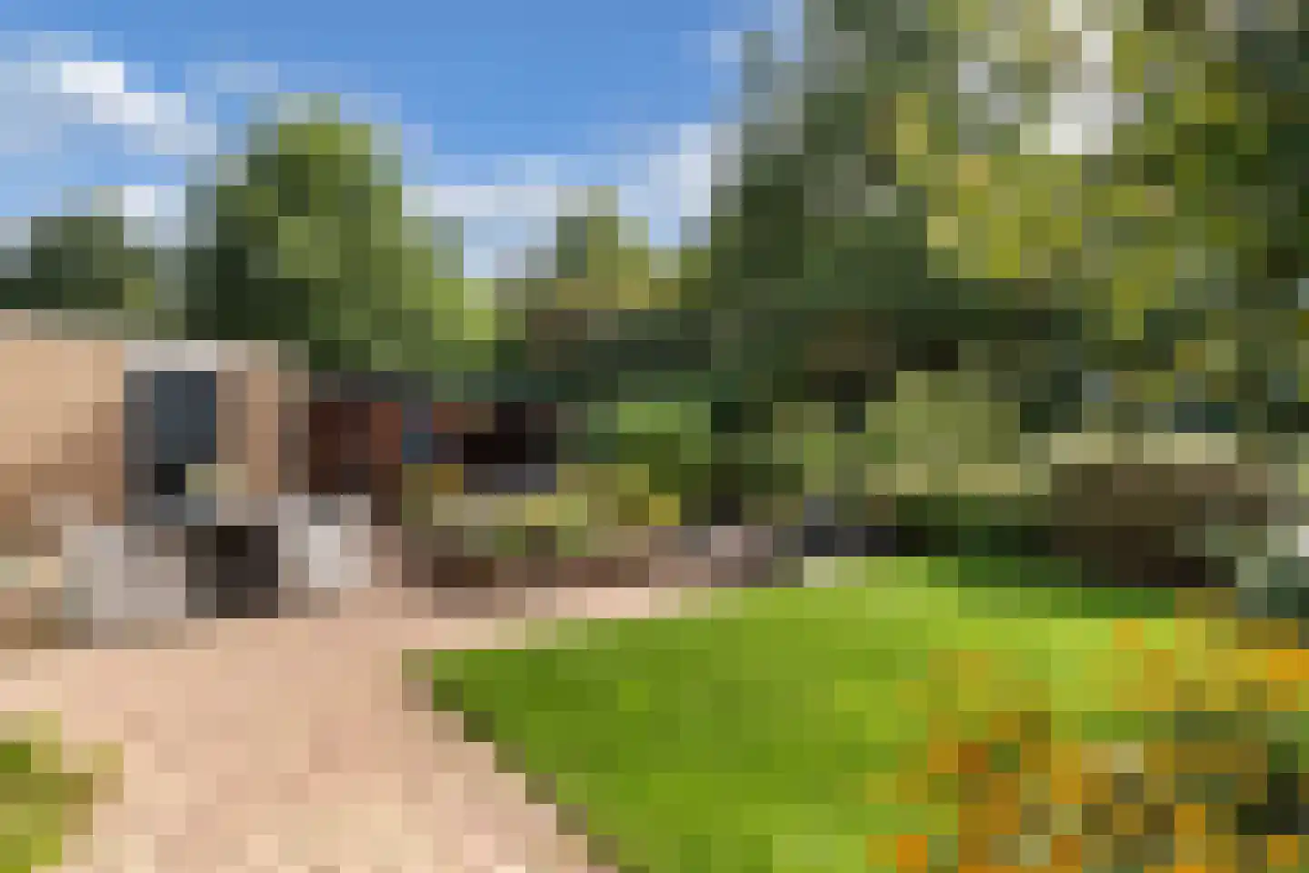 De wanne 17 Steenwijk thumbnail 36