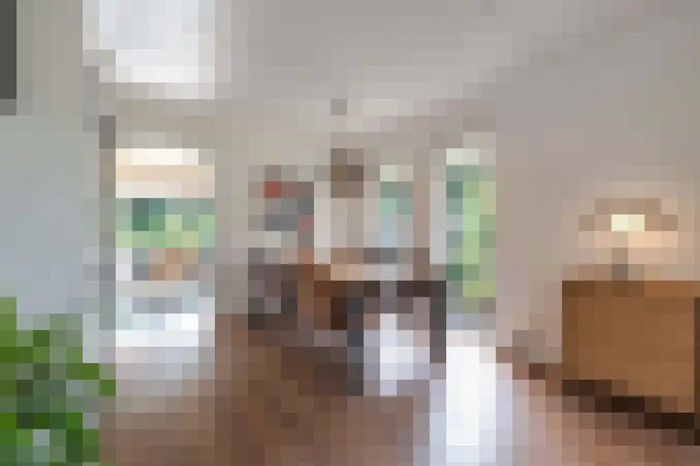 De wanne 17 Steenwijk thumbnail 4
