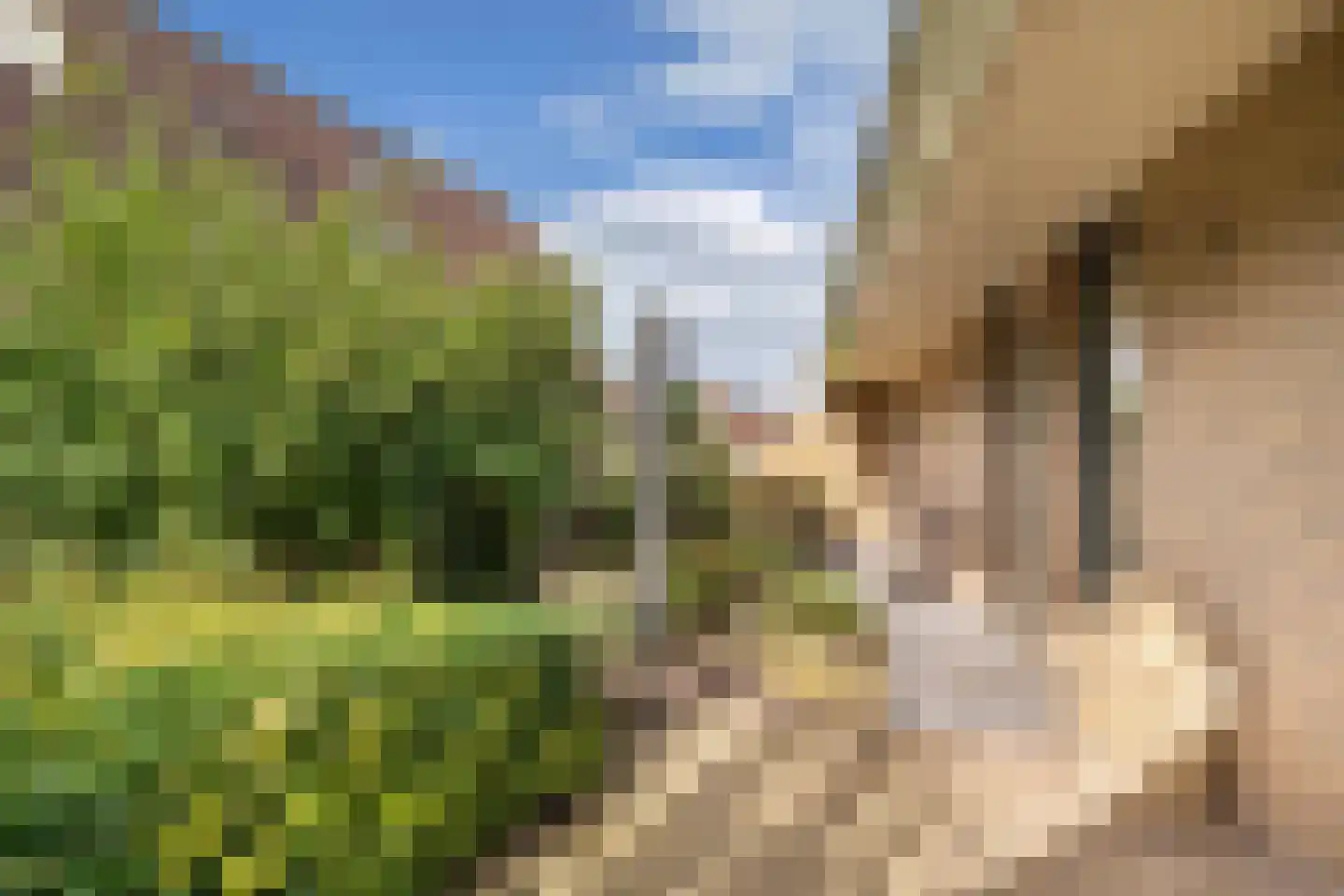 De wanne 17 Steenwijk thumbnail 43