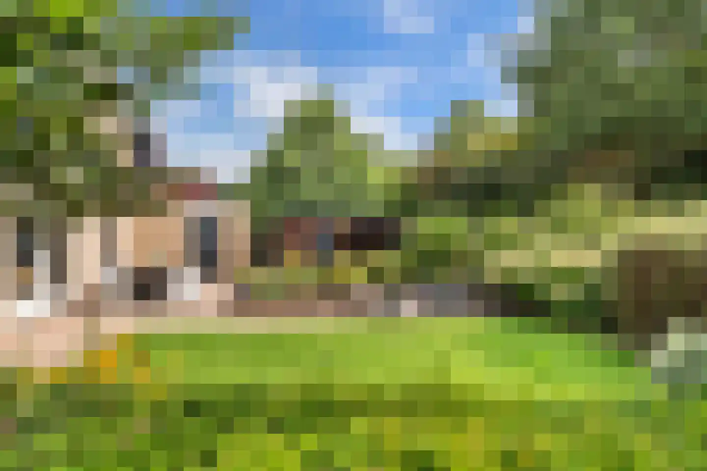 De wanne 17 Steenwijk thumbnail 46