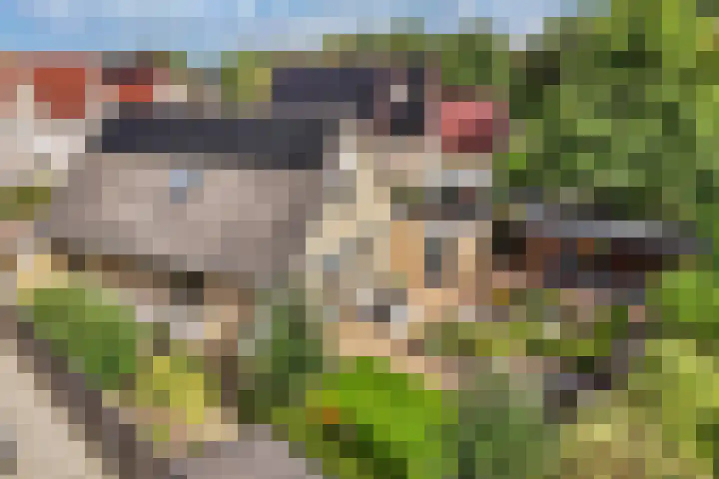 De wanne 17 Steenwijk thumbnail 48
