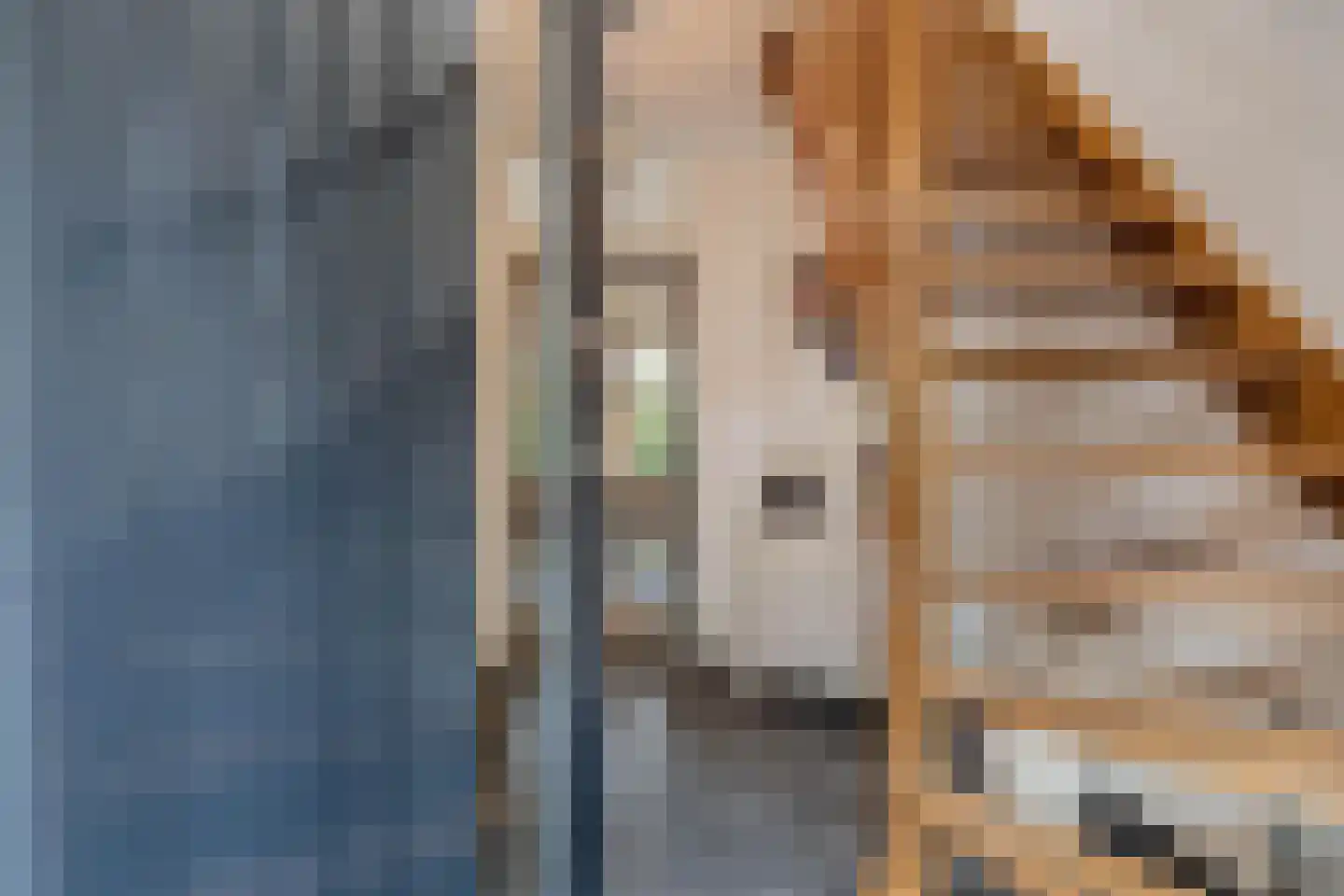 De wanne 17 Steenwijk thumbnail 8
