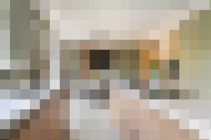 De Wanne 19 Markelo thumbnail 12