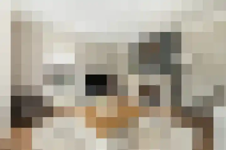 De Wanne 19 Markelo thumbnail 20