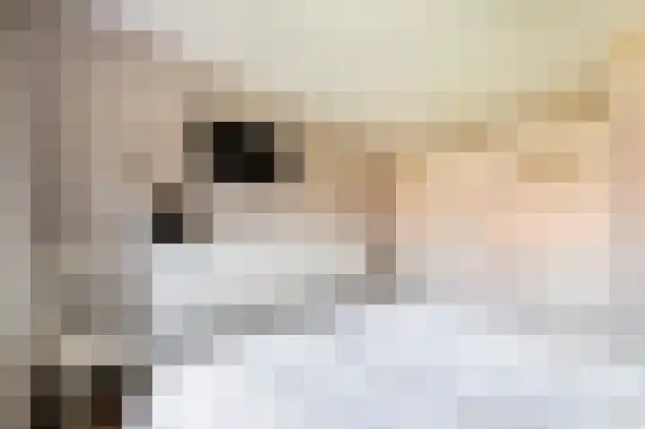 De Wanne 19 Markelo thumbnail 26