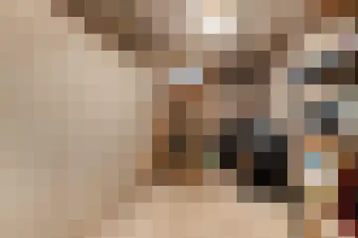 De Wanne 19 Markelo thumbnail 35
