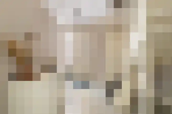 De Wanne 19 Markelo thumbnail 7