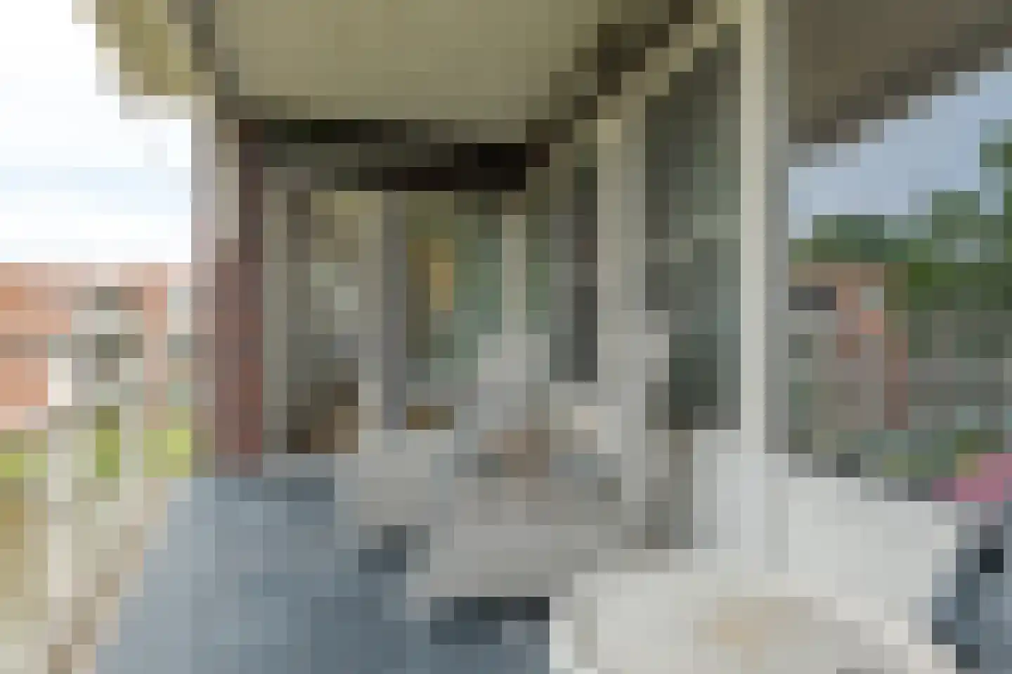 De Wanne 91 Nieuw-Buinen thumbnail 8