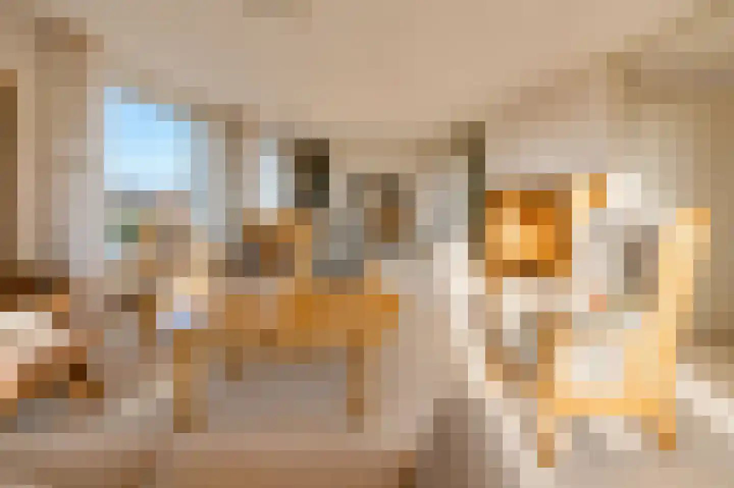 De Wanne 96 Nieuw-Buinen thumbnail 7
