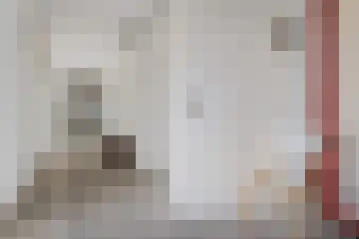De Wanne 99 Nieuw-Buinen thumbnail 13