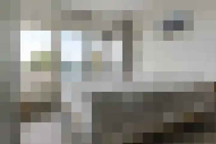 De Wanne 99 Nieuw-Buinen thumbnail 15
