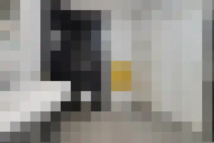 De Wanne 99 Nieuw-Buinen thumbnail 18