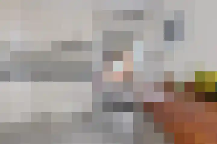 De Wanne 99 Nieuw-Buinen thumbnail 22