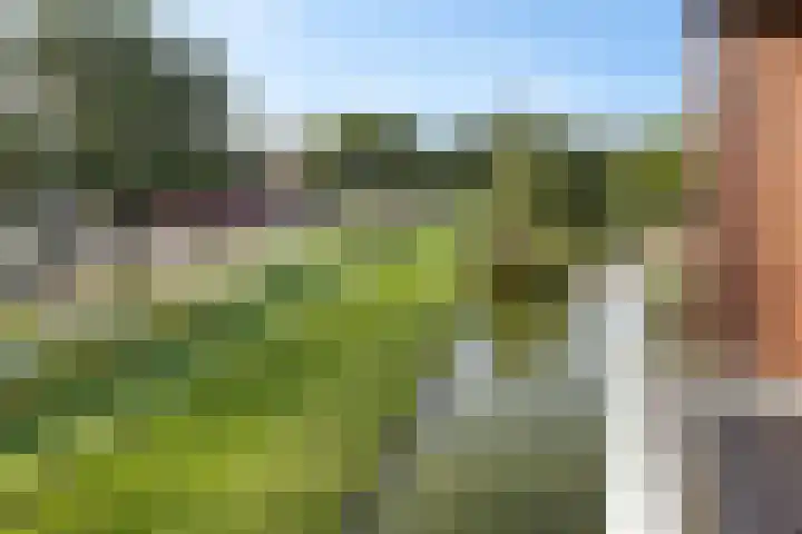 De Wanne 99 Nieuw-Buinen thumbnail 27