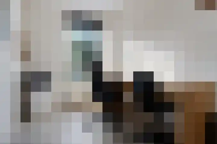 De Wanne 99 Nieuw-Buinen thumbnail 28