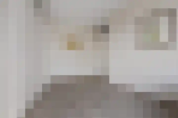 De Wanne 99 Nieuw-Buinen thumbnail 30