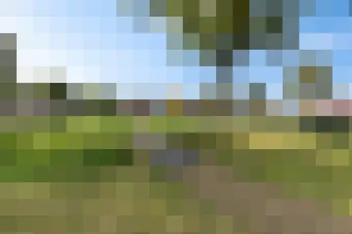 De Wanne 99 Nieuw-Buinen thumbnail 37