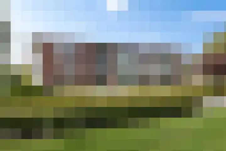 De Wanne 99 Nieuw-Buinen thumbnail 4