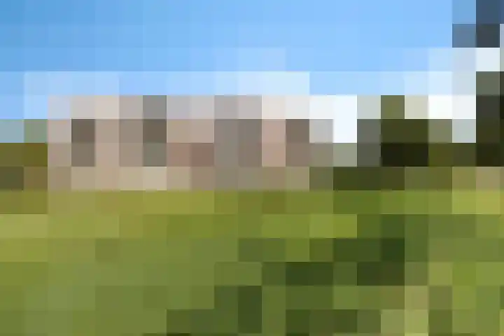 De Wanne 99 Nieuw-Buinen thumbnail 6